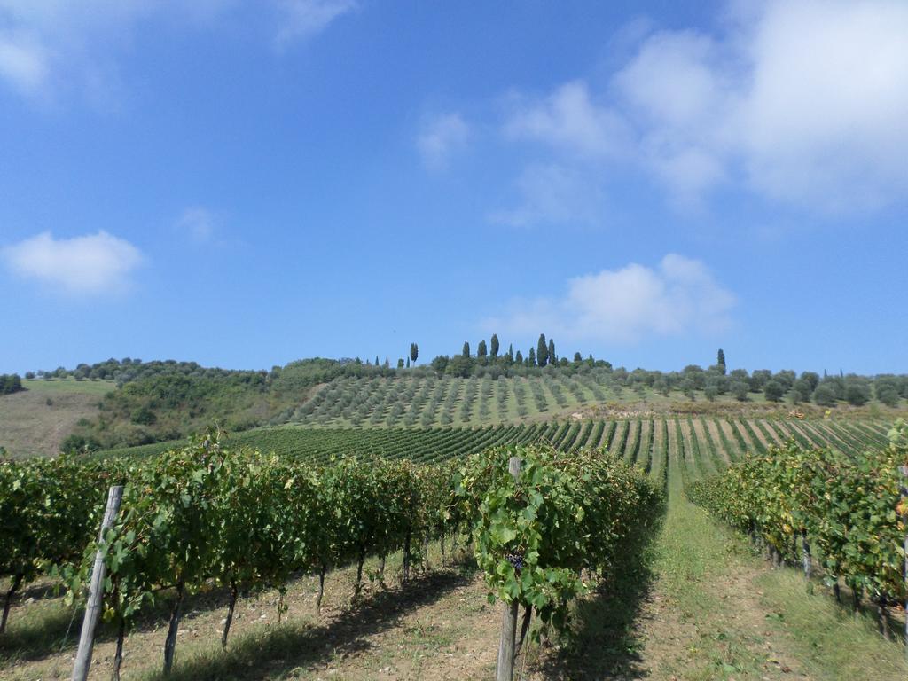 Tenuta Villa Rocchi ตอร์ริตา ดิ เซียนา ภายนอก รูปภาพ
